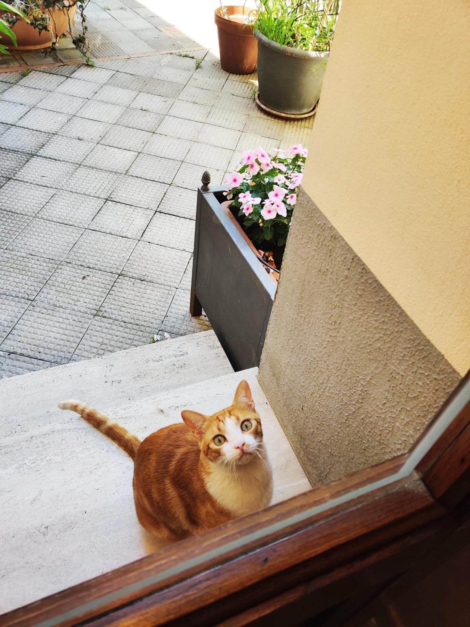 B&B Gattacicova Cava deʼ Tirreni Værelse billede